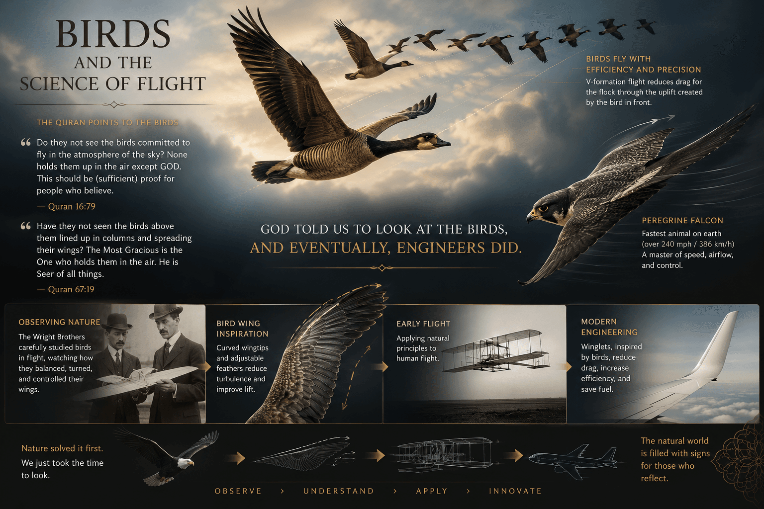 Infographic illustrating how the study of birds inspired human flight, featuring flying geese in formation, a peregrine falcon in flight, the Wright Brothers, an early airplane, and a modern aircraft winglet. The graphic connects Quranic verses about birds with aerodynamic principles used in aviation engineering.